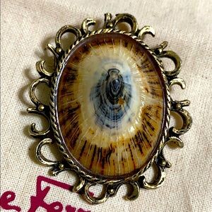 🖤VTG💕Hawaiian OPIHI shell brooch/pendant